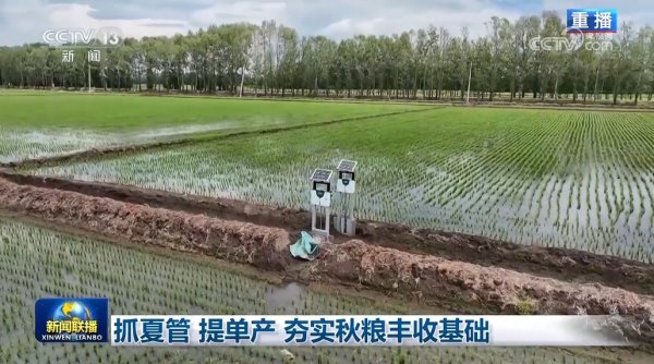新富策略 抓夏管 提单产 夯实秋粮丰收基础