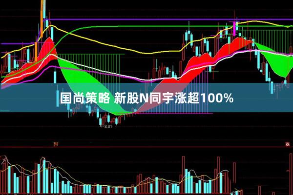 国尚策略 新股N同宇涨超100%